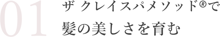 ザ クレイスパメソッド🄬で髪の美しさを育む