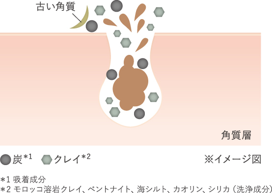 DUO ザ ウォッシュ ブラックリペア_図解_炭とクレイ