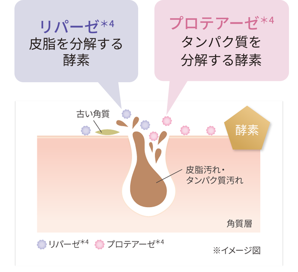 分解する