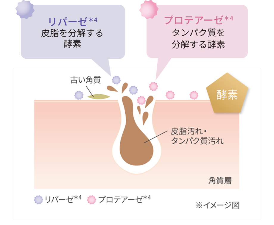 分解する