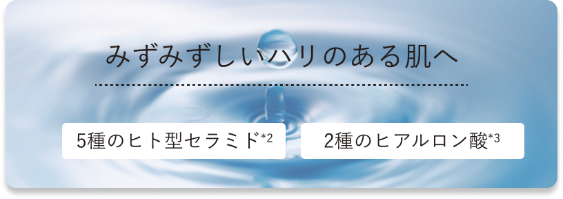 5種のヒト型セラミドと2種のヒアルロン酸がみずみずしいハリのある肌へ