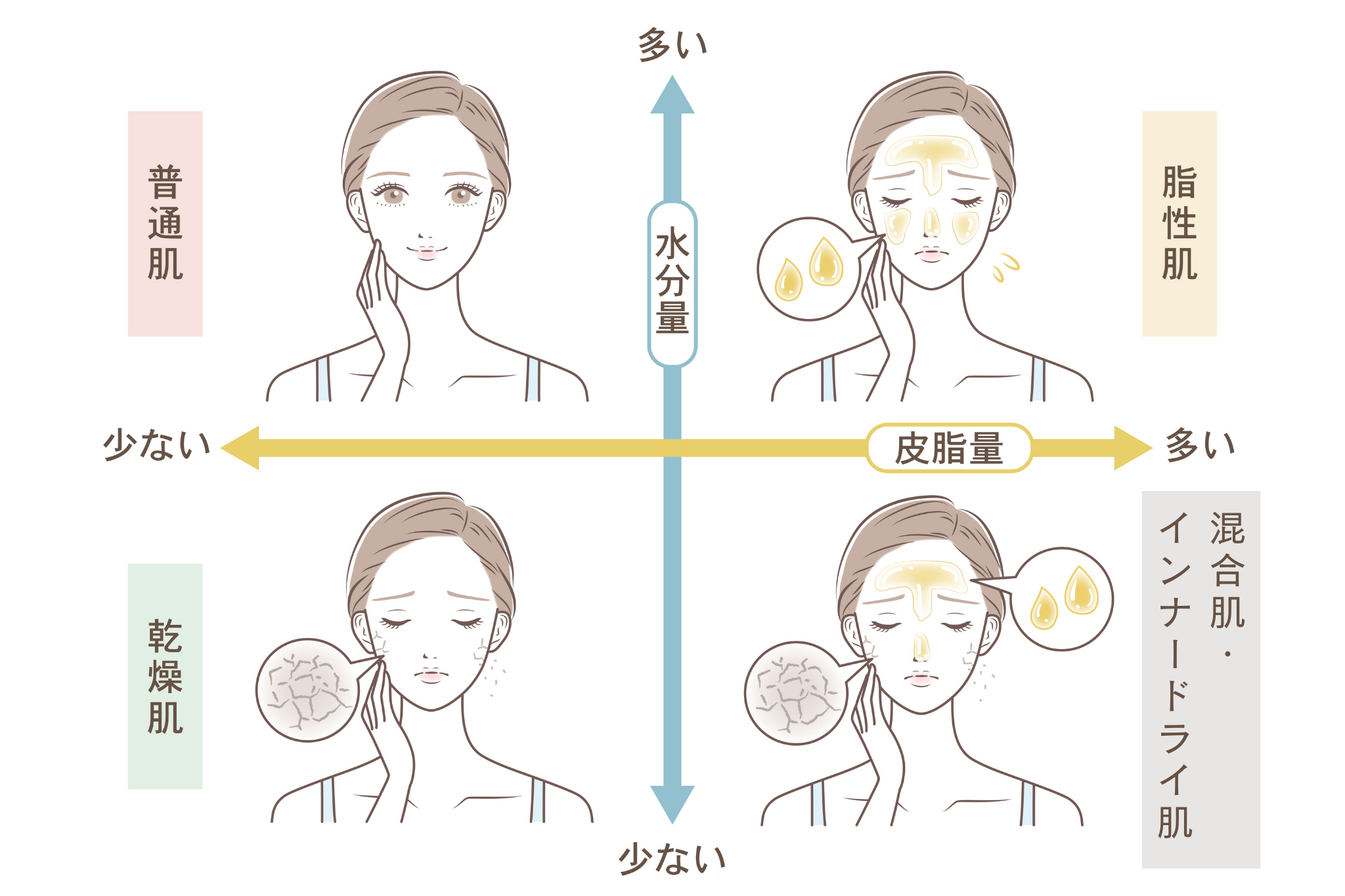 肌質タイプ別水分量と皮脂量のグラフ