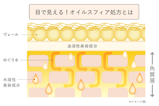 図解イラスト_オイルスフィア処方とは（編集済み）