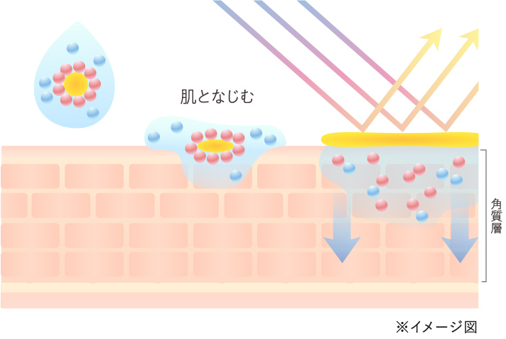 なめらかな肌なじみのイメージ図