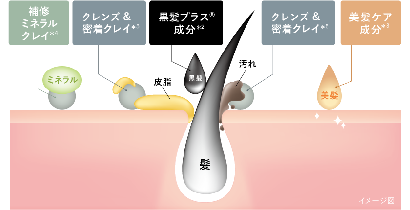 クレイとサイエンスの力を融合