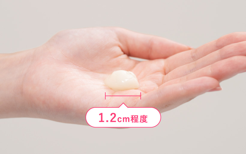 使用量の目安