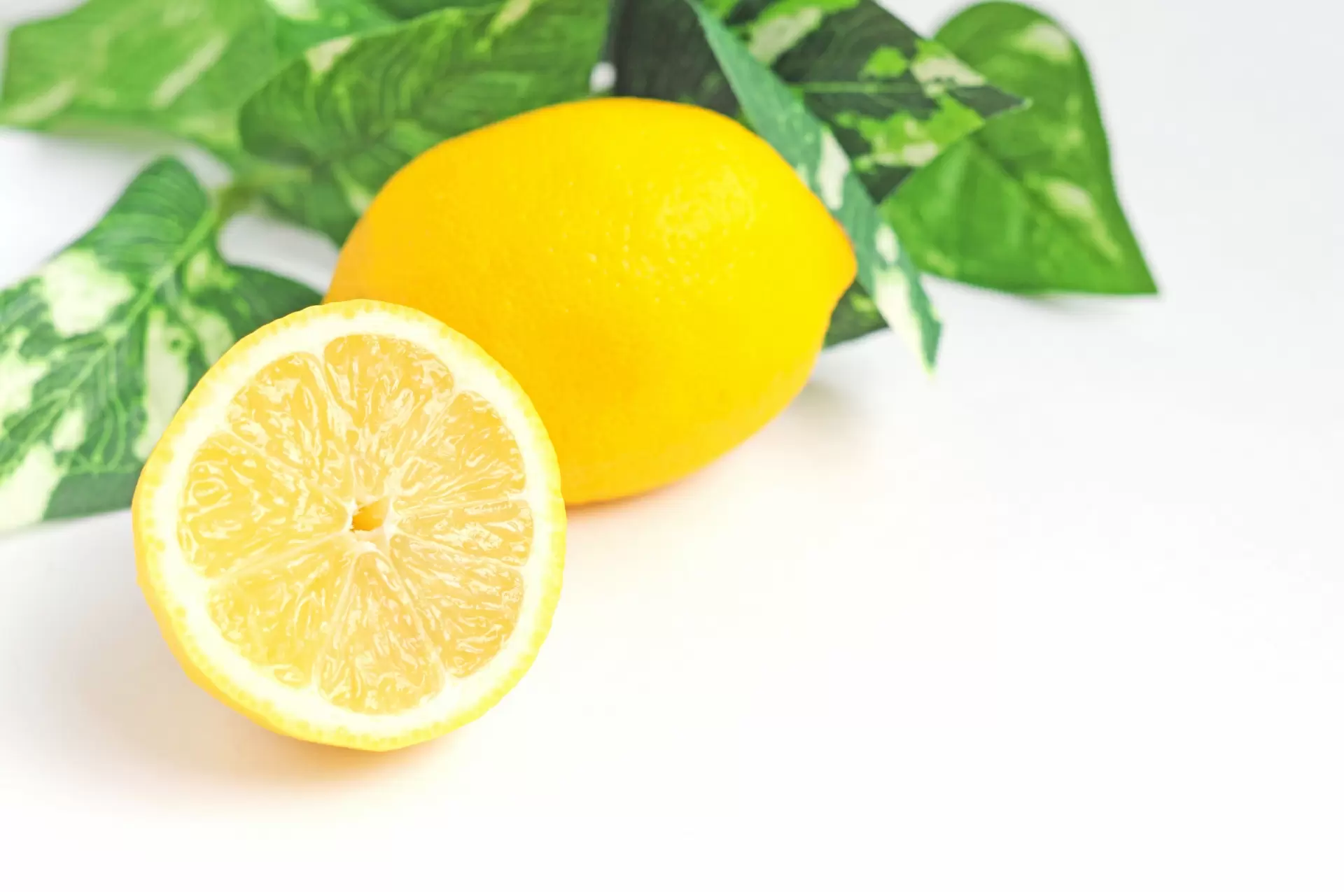 Tôi muốn biết về axit citric!