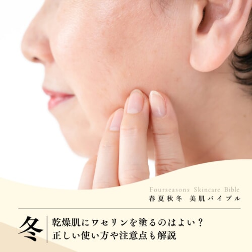FV_乾燥肌にワセリンを塗るのはよい？正しい使い方や注意点も解説
