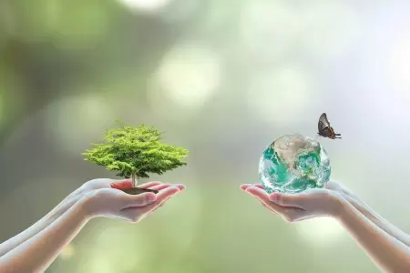 Tại sao lại phải làm đẹp sạch ngay bây giờ?