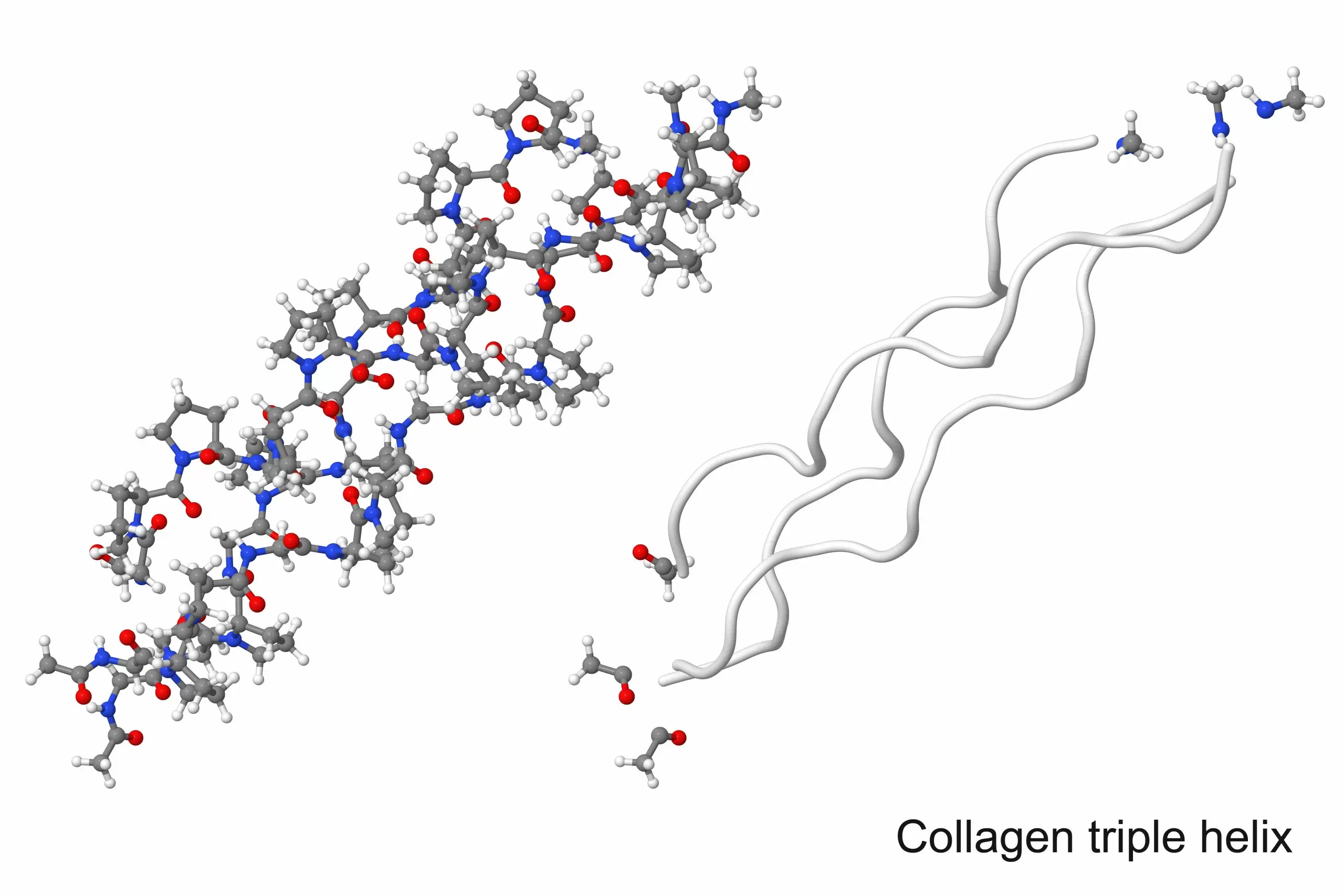 Sự khác biệt giữa peptide và collagen