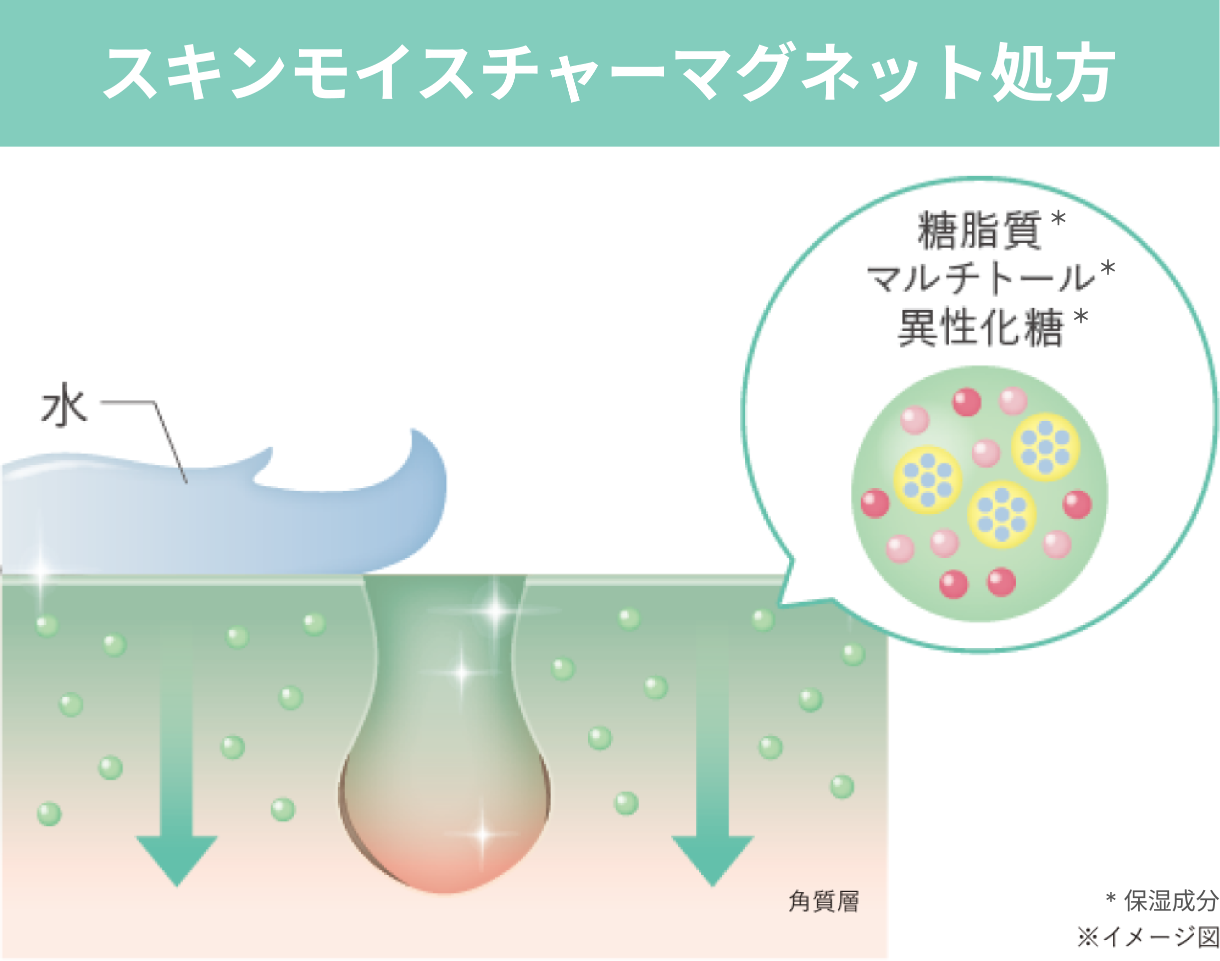 毛穴ケアはもちろん、キメまで整う！新しくなった「ザ クレンジング
