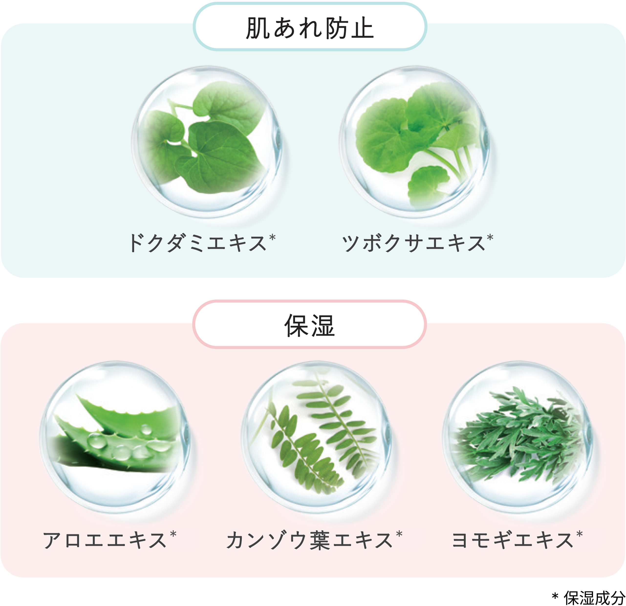 図解_肌あれ防止&保湿成分として配合されている植物エキス