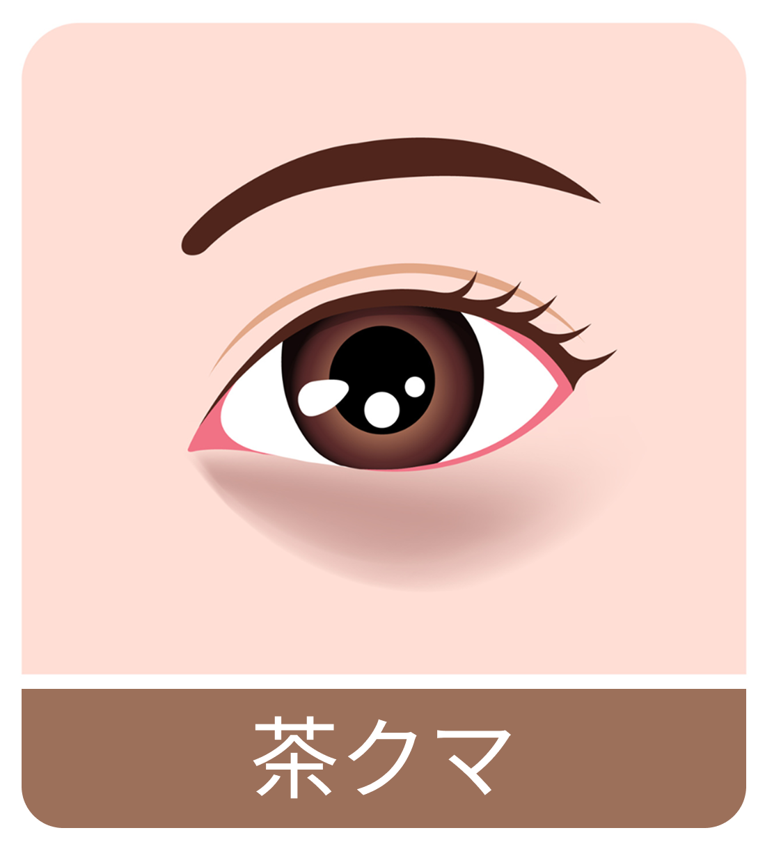 茶クマ_イメージイラスト