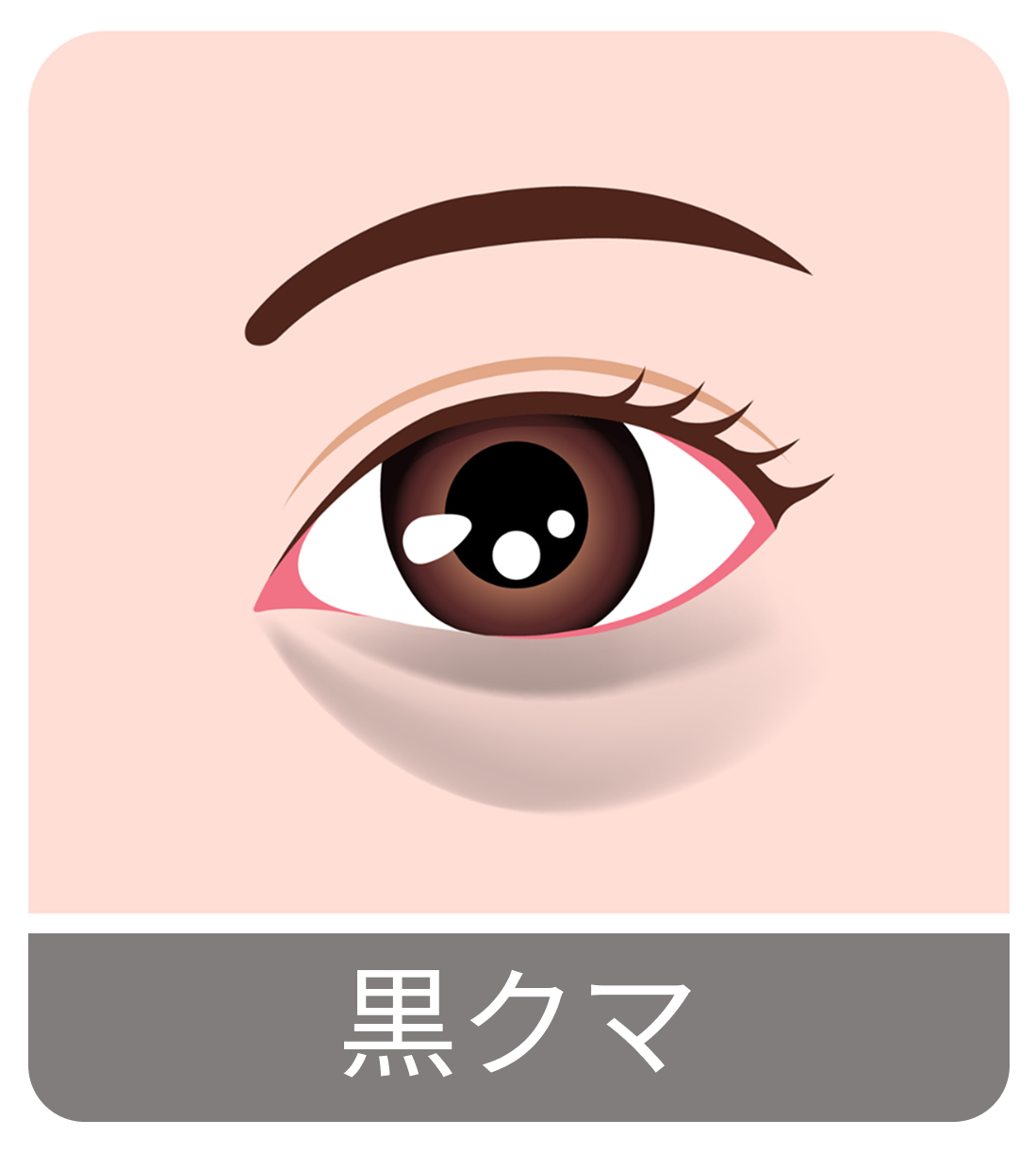 黒クマ_イメージイラスト