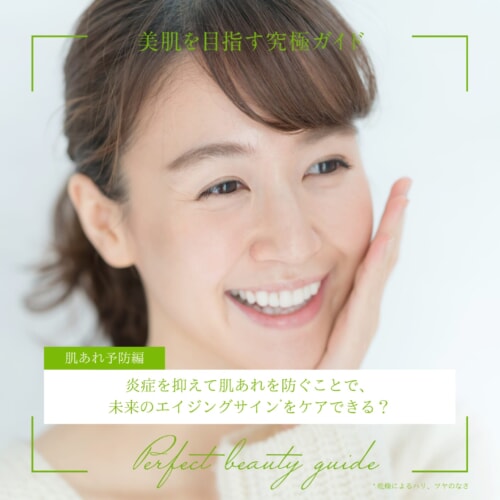 FV_炎症を抑えて肌あれを防ぐことで、未来のエイジングサインをケアできる?