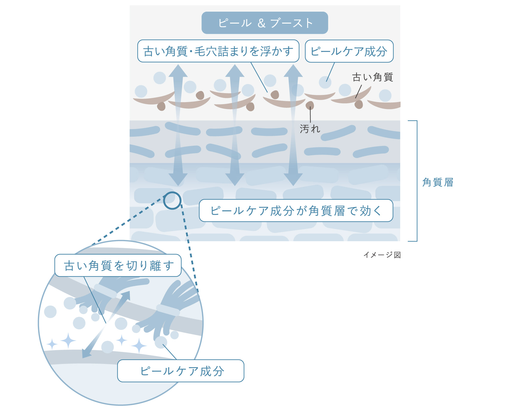 図解_DUOクレンズセラム_ピールケア成分