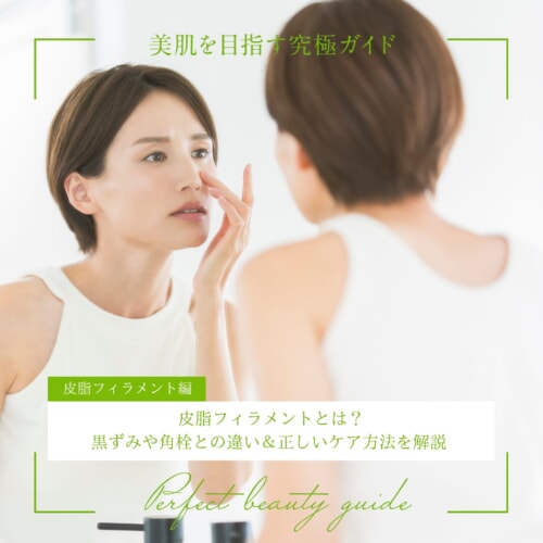 FV_皮脂フィラメントとは?黒ずみや角栓との違い&正しいケア方法を解説 美肌を目指す究極ガイド(皮脂フィラメント編)