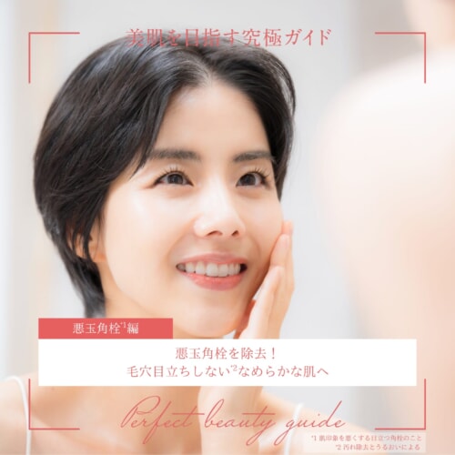FV_悪玉角栓を除去!毛穴目立ちしないなめらかな肌へ