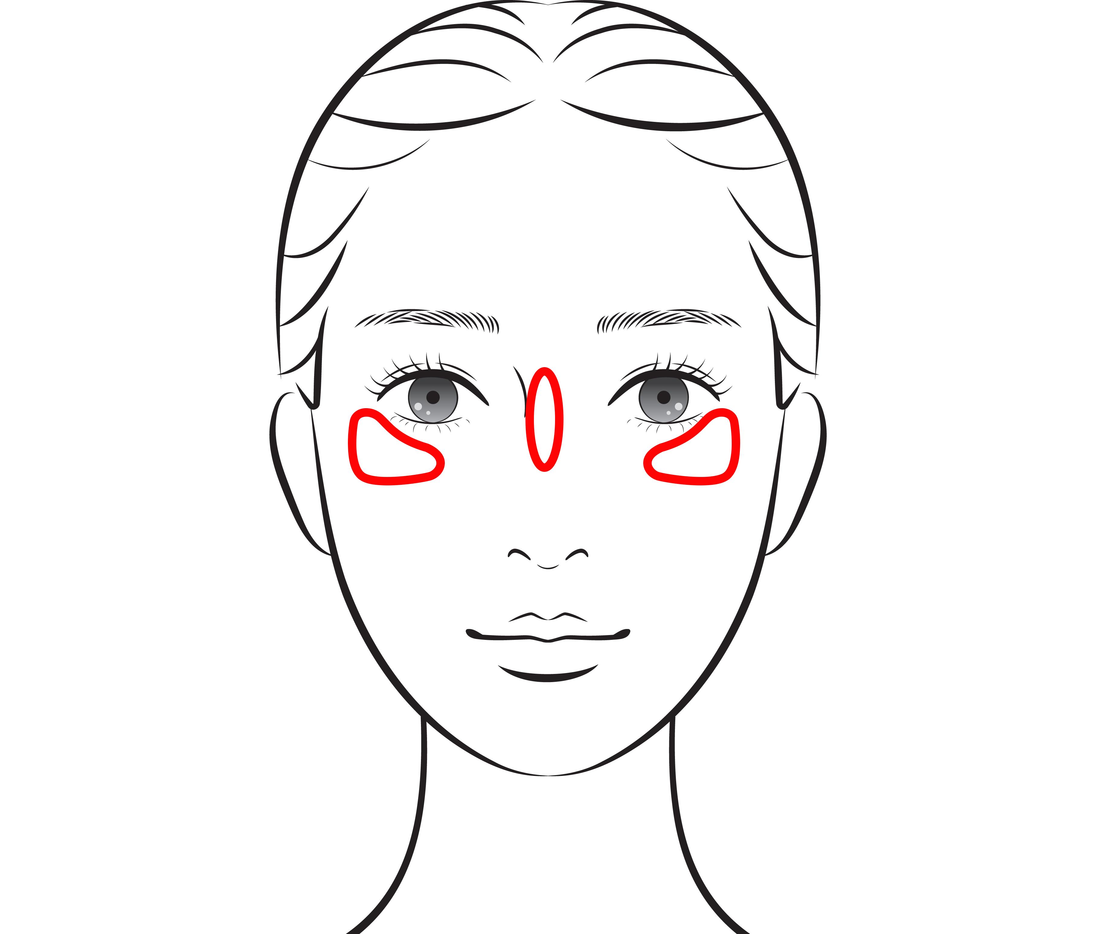 メイクのポイント_ハイライトを入れる箇所