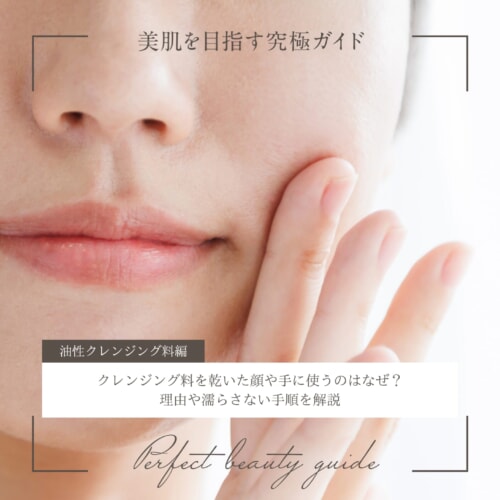 FV_クレンジング料を乾いた顔や手に使うのはなぜ?理由や濡らさない手順を解説