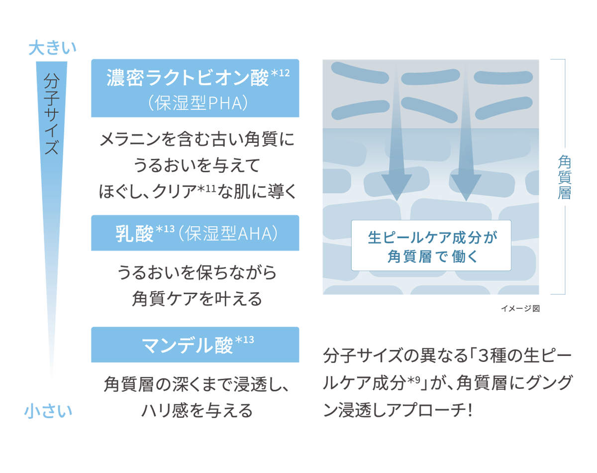 角質層にグングン浸透しアプローチ
