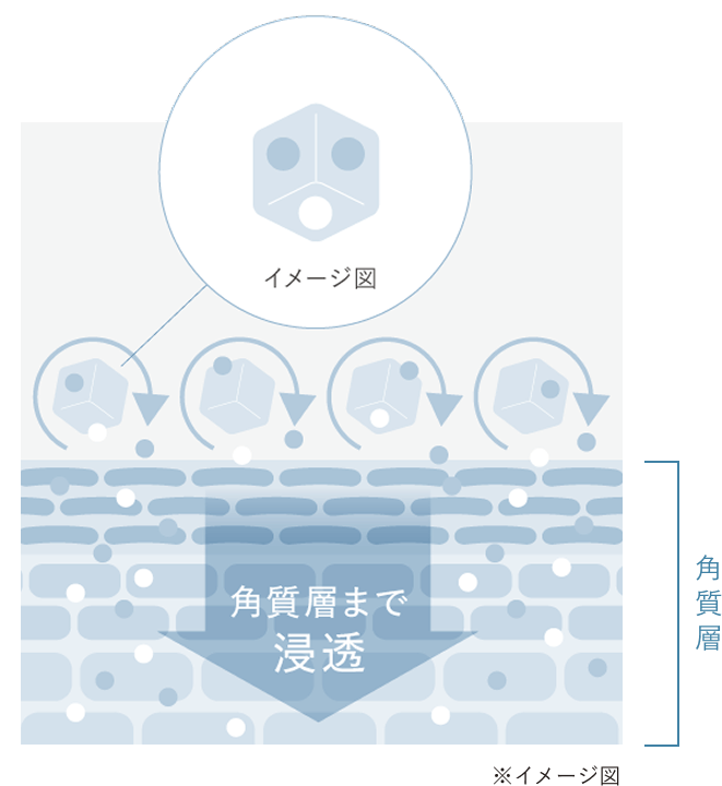 ３種の生ピールケア成分が角質層まで浸透