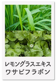 レモングラスエキスワサビフラボン