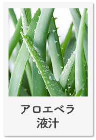 アロエベラ液汁