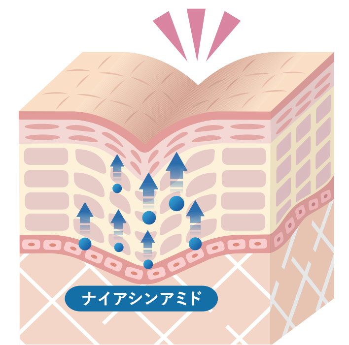 薬用有効成分「ナイアシンアミド」がシワをしっかり改善