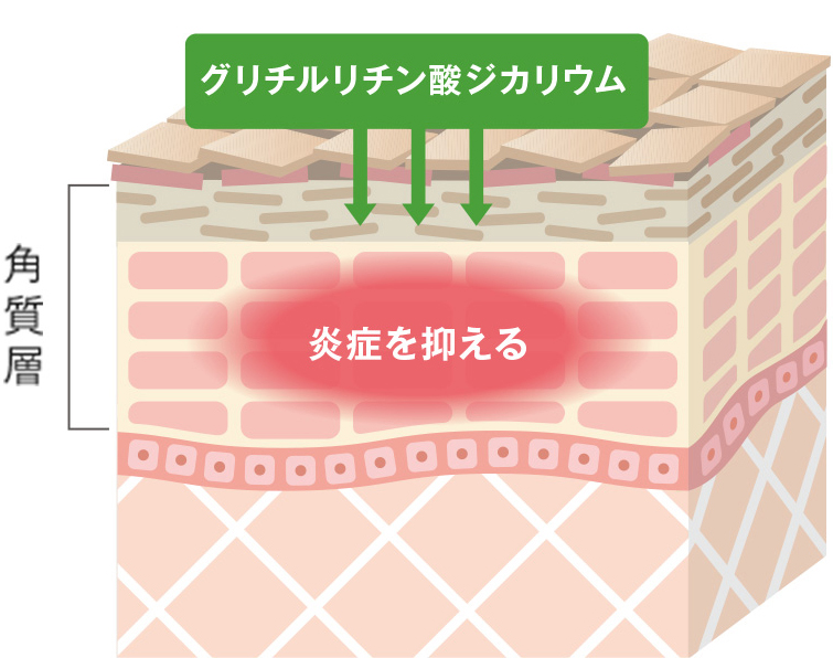 薬用有効成分「グリチルリチン酸ジカリウム」が、肌あれまで予防