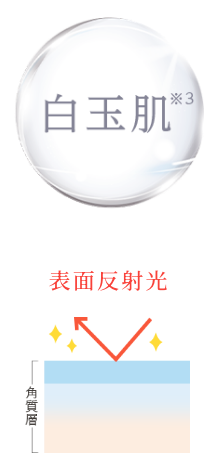 白玉肌 表面反射光