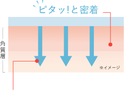 瞬感浸透＆密着キープ