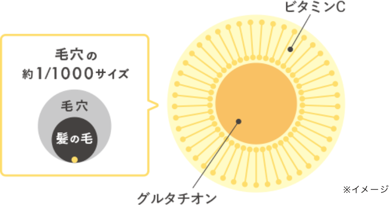 グルタチオン ビタミンC
