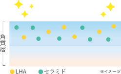 STEP 03 整える