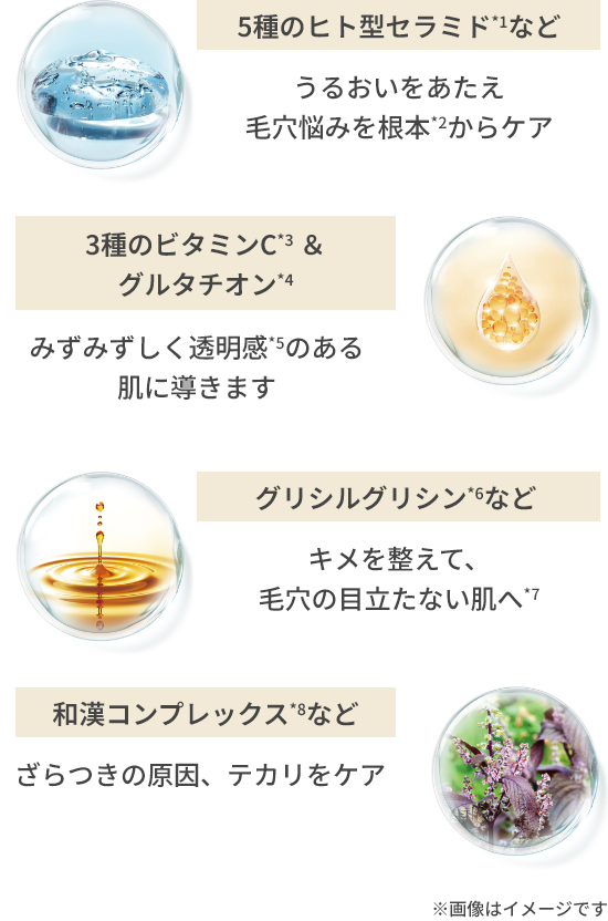 5種のヒト型セラミド*1など 3種のビタミンC*3 ＆ グルタチオン*4 グリシルグリシン*6など 和漢コンプレックス*8など