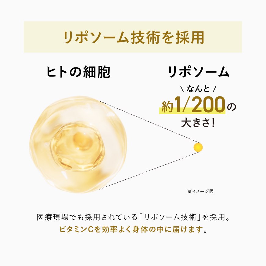 SINTO（シントー） リポソーム ビタミンは医療現場でも採用されている「リポソーム技術」を採用。ビタミンCを効率よく身体の中に届けます