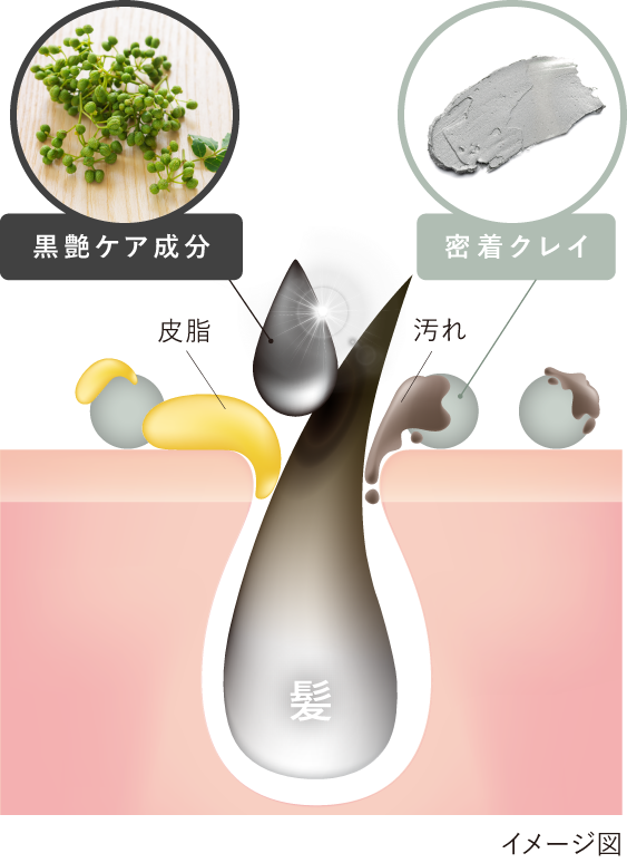 イメージ図