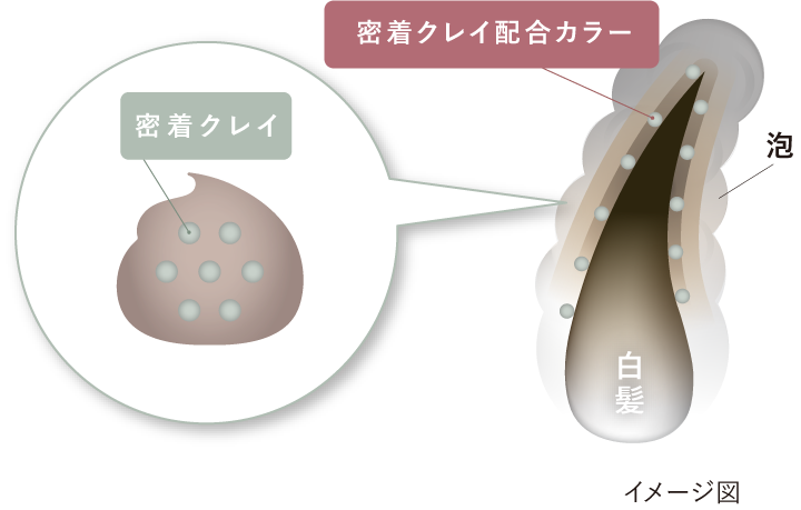イメージ図