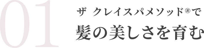 ザ クレイスパメソッド🄬で髪の美しさを育む