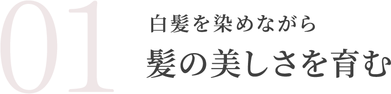 白髪を染めながら髪の美しさを育む