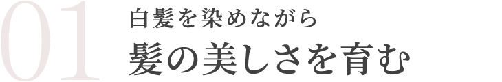 白髪を染めながら髪の美しさを育む