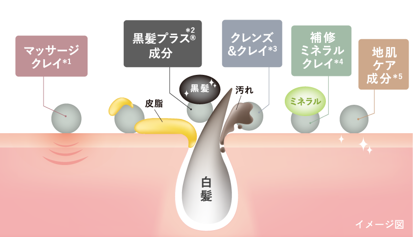 イメージ図