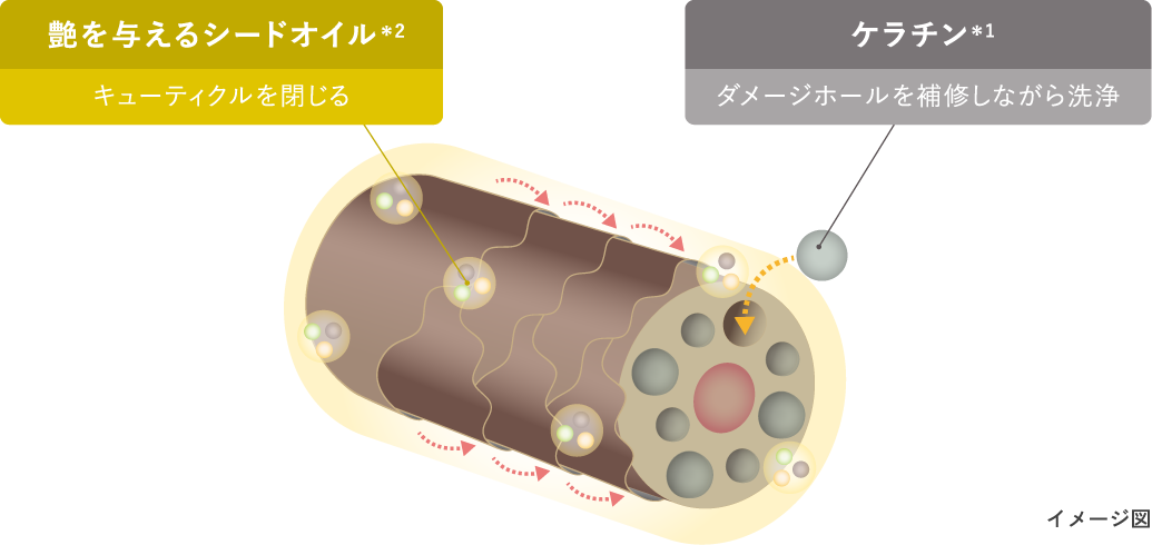 イメージ図
