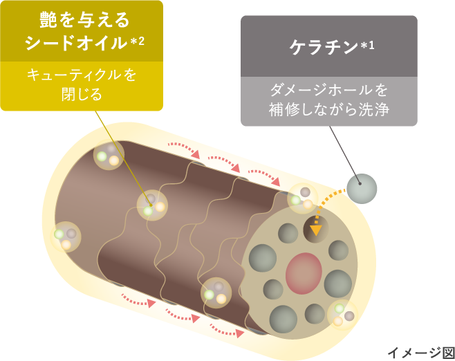 イメージ図