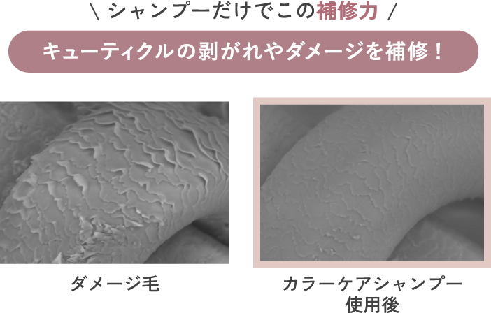 キューティクルの剥がれやダメージを補修!