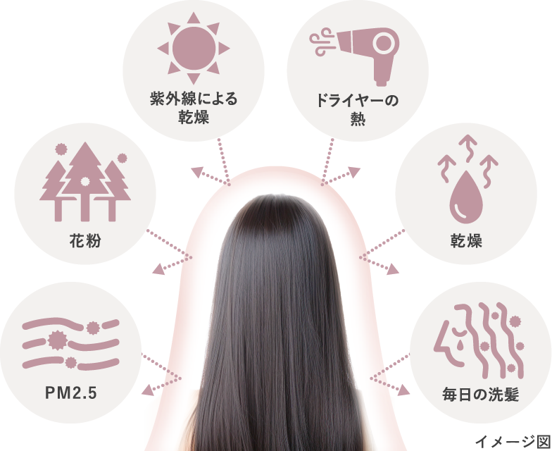 イメージ図