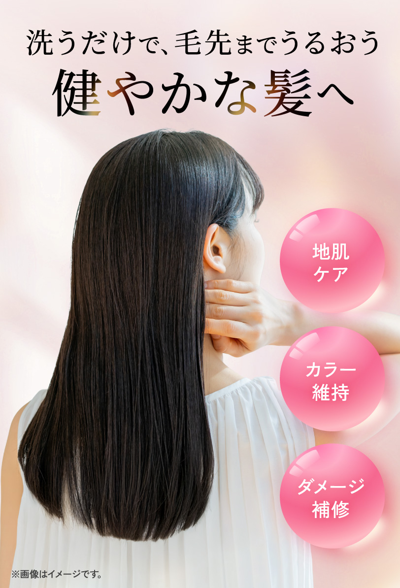 洗うだけで、毛先までうるおう健やかな髪へ