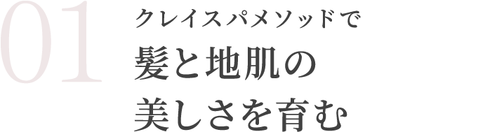 クレイスパメソッドで髪と地肌の美しさを育む