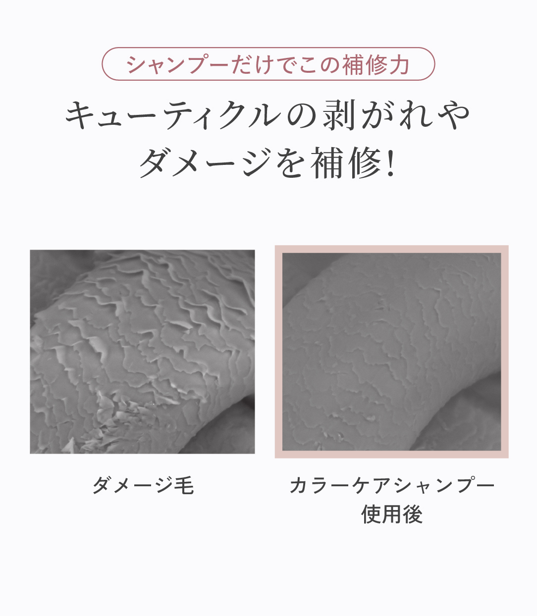 キューティクル補修の画像