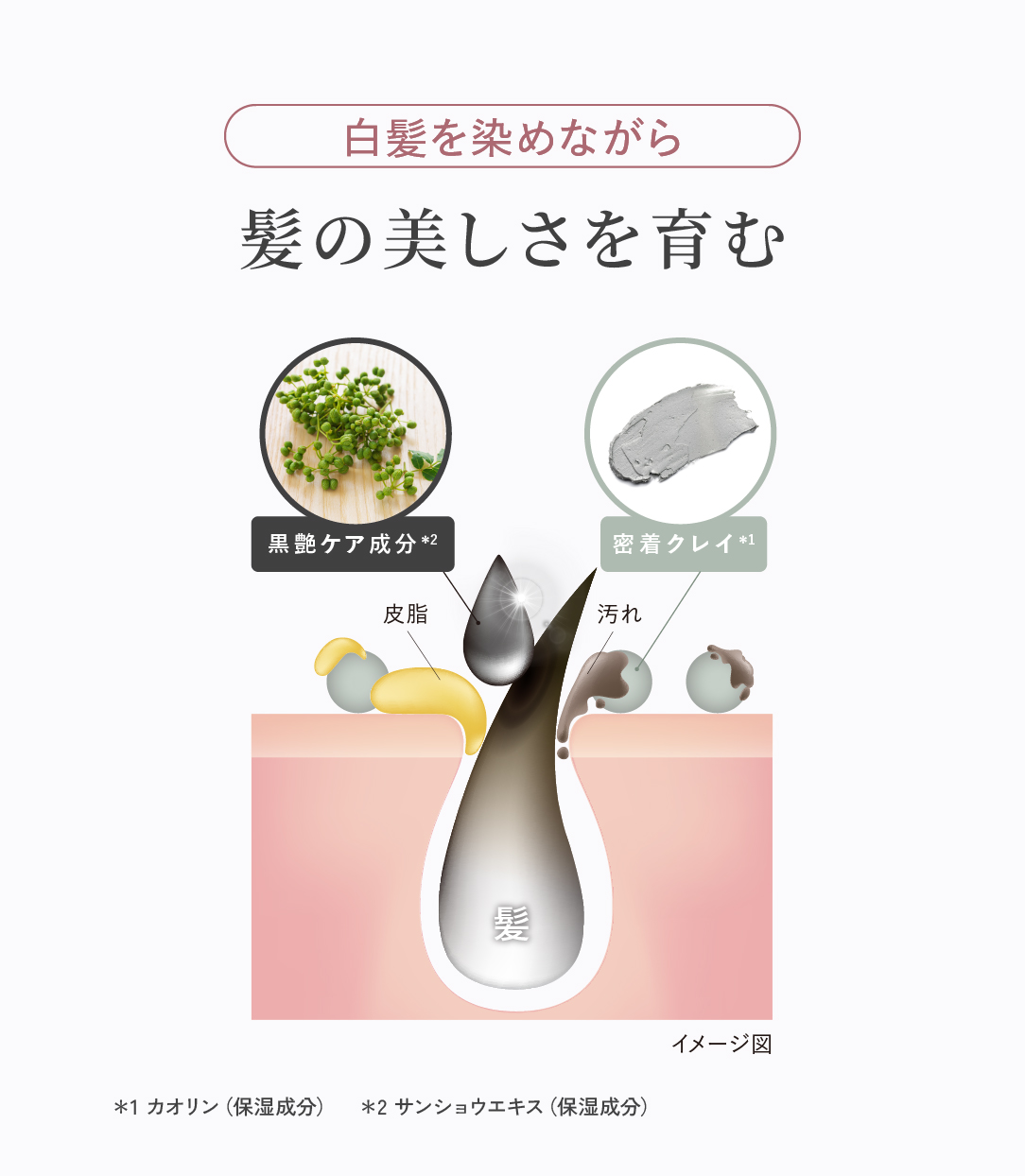 髪の美しさを育むイメージ画像